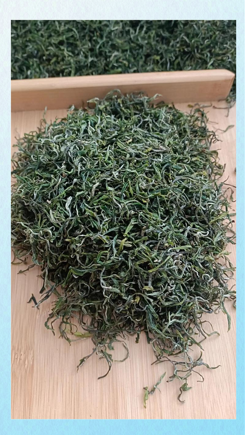 打工人的口粮茶推荐 4款精选茶品分享，千湖香茶叶暖心陪伴