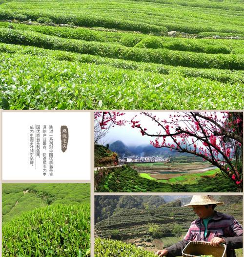 千岛湖鸠坑红茶125g×2礼盒装 湖畔香茗，千湖之礼